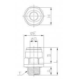 Raccordo Dritto Maschio BSPP