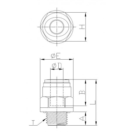 Raccordo Dritto Maschio BSPP