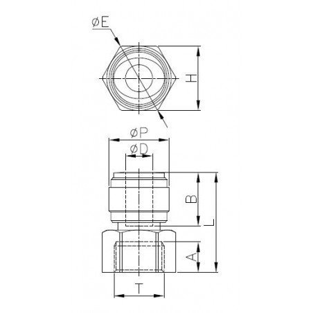 Raccordo Diritto Femmina BSPP