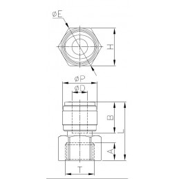Raccordo Diritto Femmina UNF