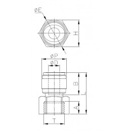 Raccordo Diritto Femmina UNS