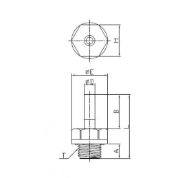 Adattatore A Codolo Maschio BSPP
