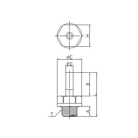 Adattatore A Codolo Maschio BSPP