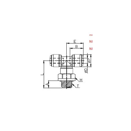 T Girevole Maschio Cilindrico BSPP