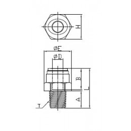 Raccordo Diritto Maschio BSPT