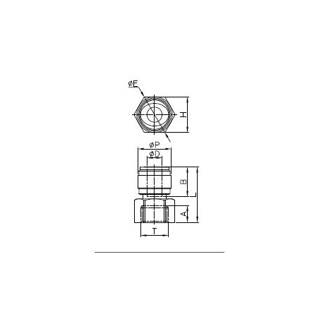 Raccordo Diritto Femmina NPTF