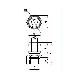 Raccordo Diritto Femmina UNF