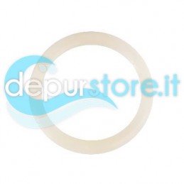 O-ring per Debatterizzatori