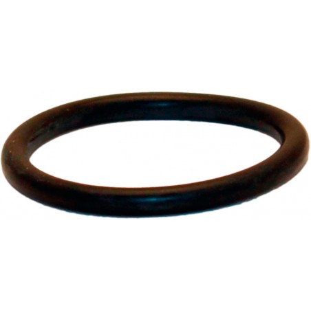 GUARNIZIONE PER NIPPLI ZINCATI ACCOPPIAMENTO RADIATORI GARDA DUAL-EXCLUSIVO 1