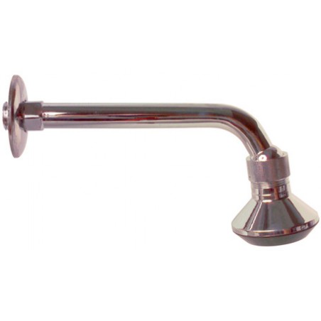 BRACCIO DOCCIA CON SOFFIONE IN OTTONE 20X18 CM