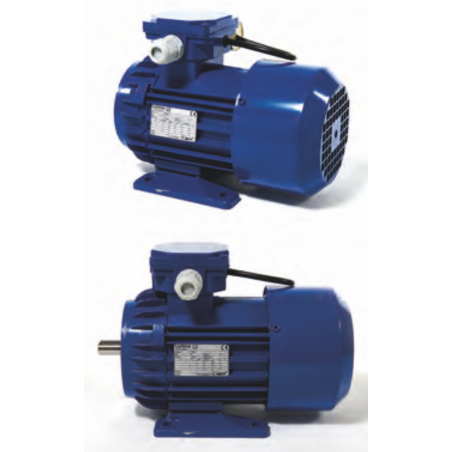 Motori per Pompe Rotative