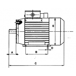 Motori per Pompe Rotative