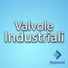 Valvole Industriali